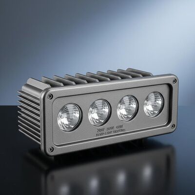 Niestandardowe przemysłowe obudowy do odlewania drutowego dla lamp drogowych o mocy 20 W, 30 W, 40 W, z 4 soczewkami.